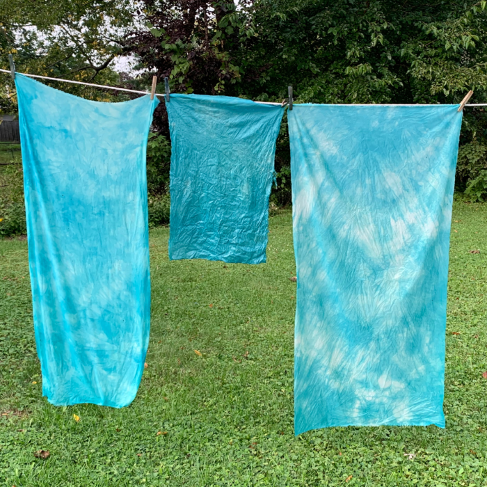 Fresh Indigo dyed silk, dyed using fresh leaves and ice in a blender 